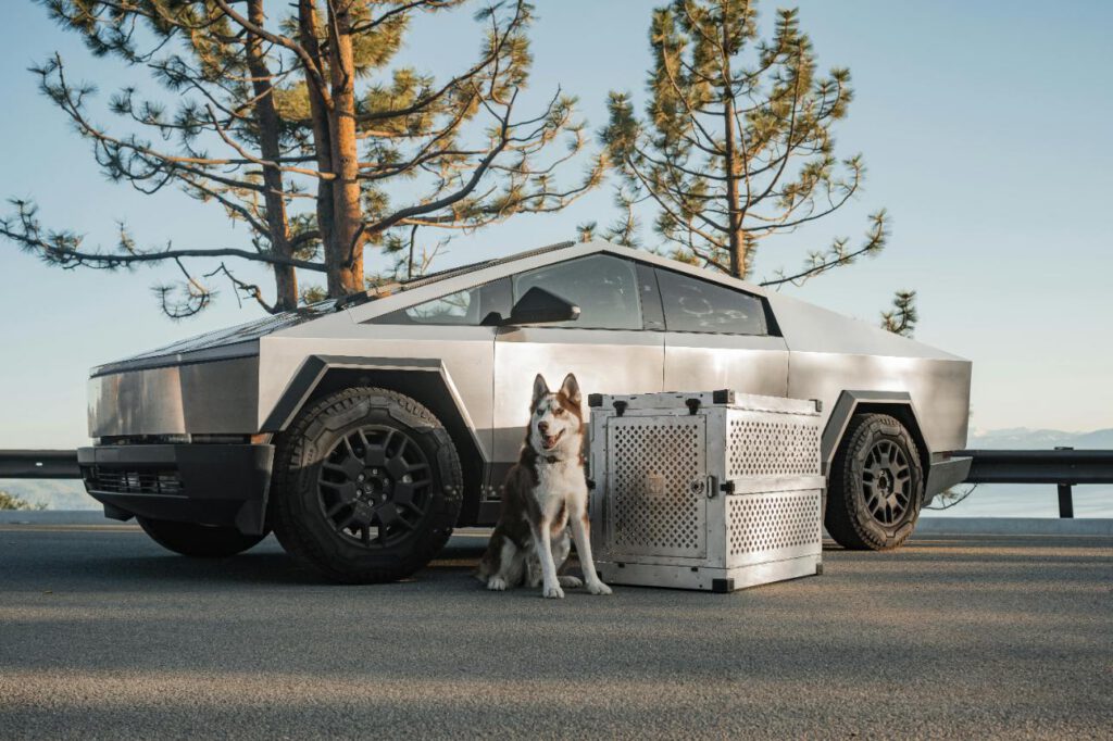 Tesla’s Marketing Strategy – Disrupting the Auto Industry