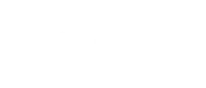 Partner logo 11
