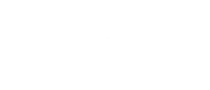 Partner logo 8
