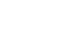 Partner logo 6