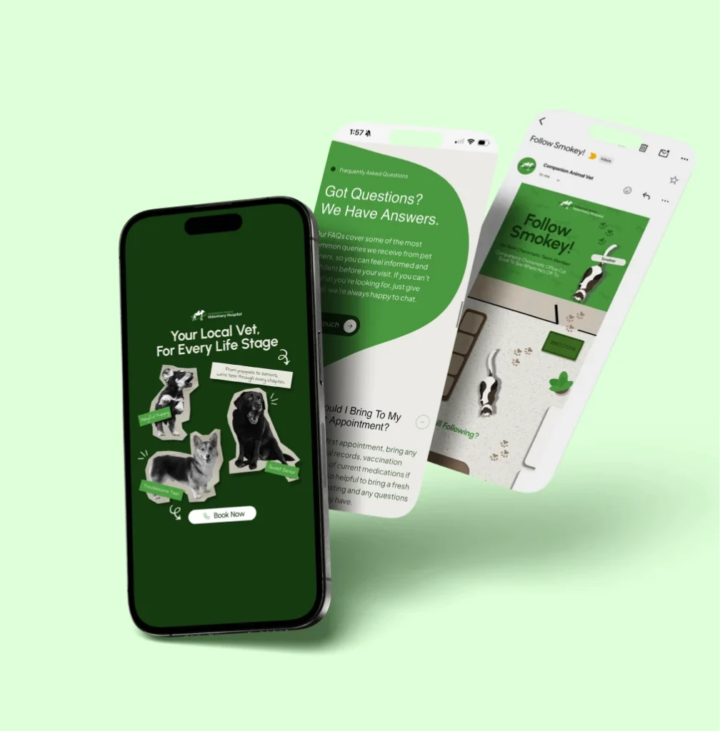 Companion Animal Vet