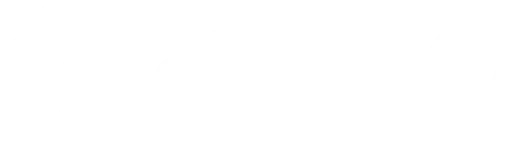 Shopify Partnership