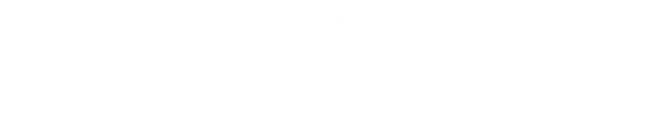 Meta Partnership