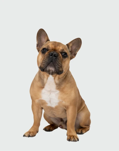 benny